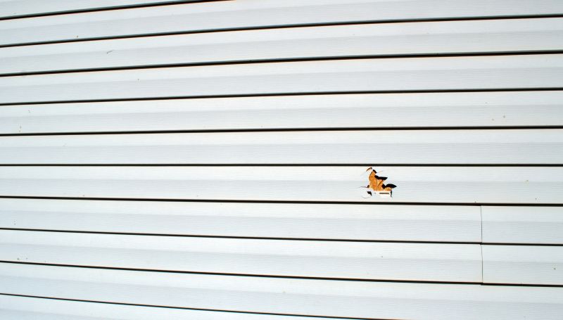 Siding Repair Service